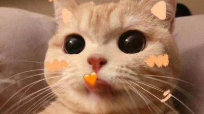 定义命运的决策：你的选择塑造你的未来