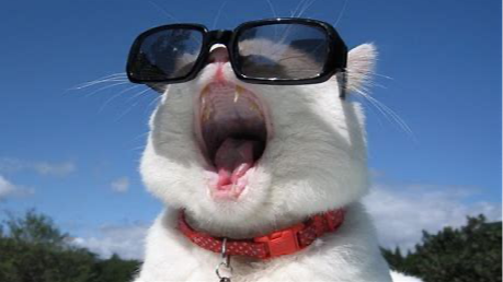 特征工程 - 数据规约