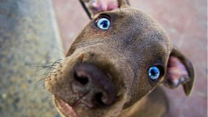 特征工程 - 热卡填充