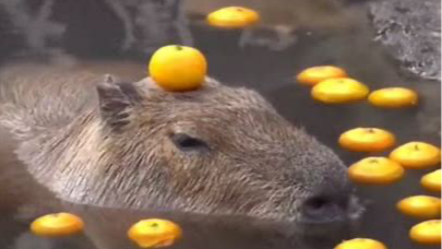 特征工程 - 数据预处理