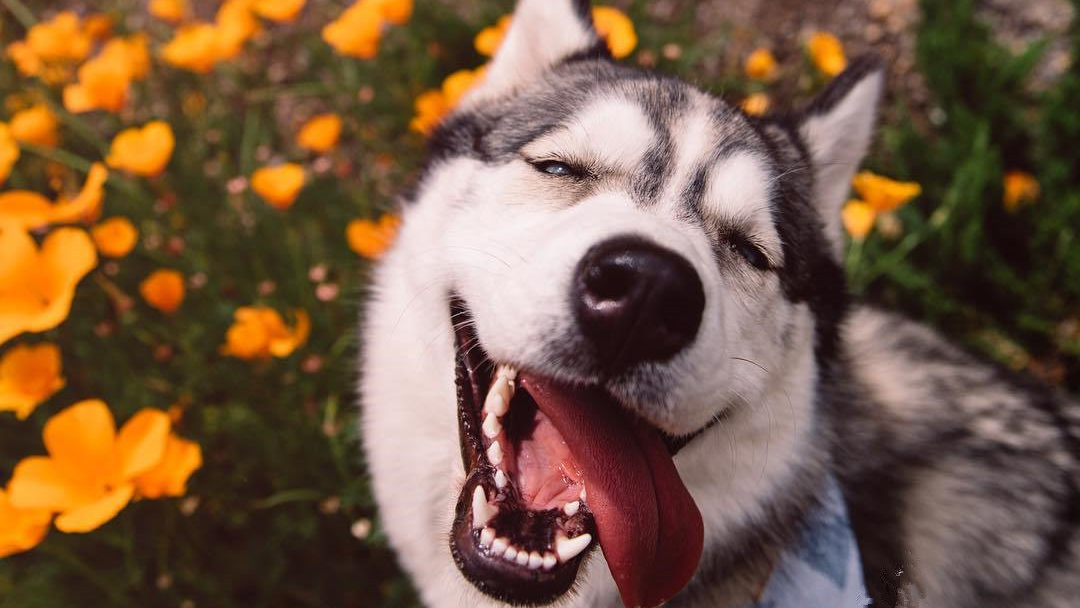 特征工程 - 基础概念