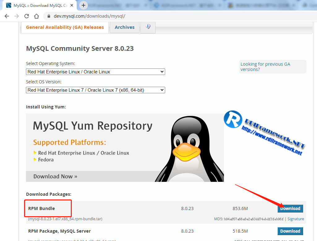 选择 RPM Bundle 点击 Download