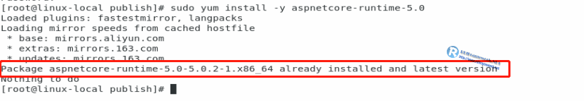 aspnetcore-runtime