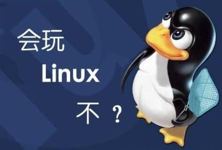 Linux基础介绍
