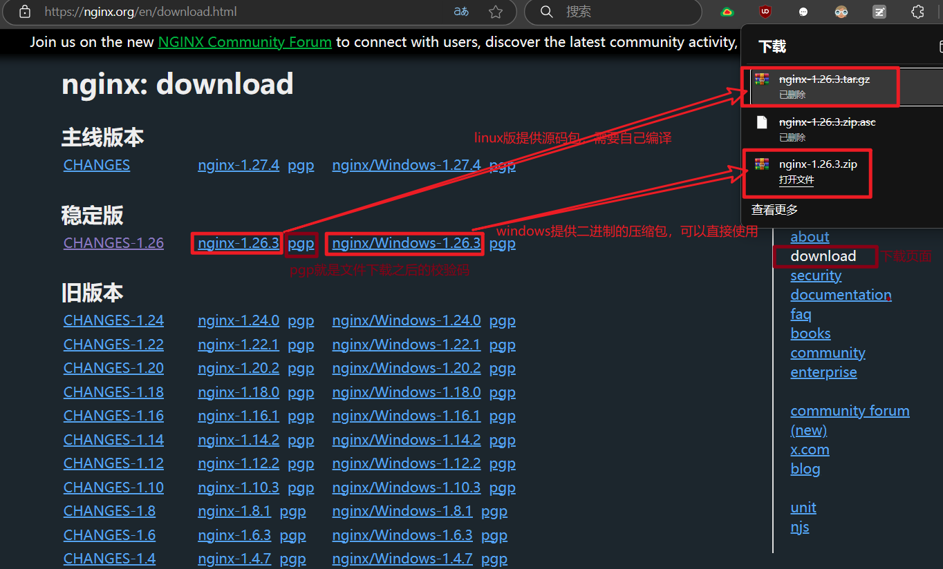 image-20250319190209655