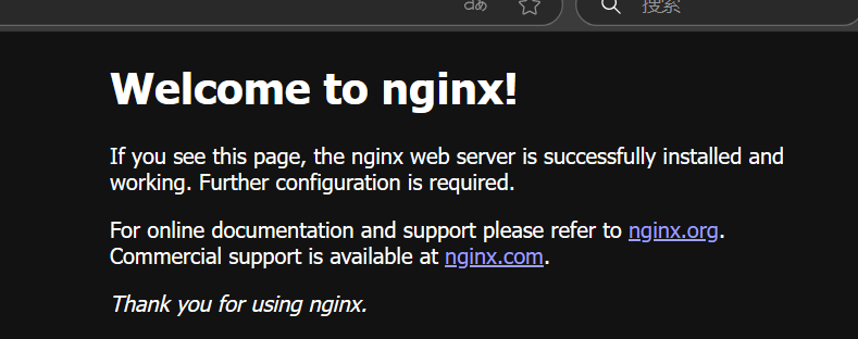 image-20250319213942979