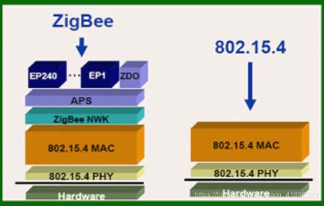 图1 ZigBee和802.15.4