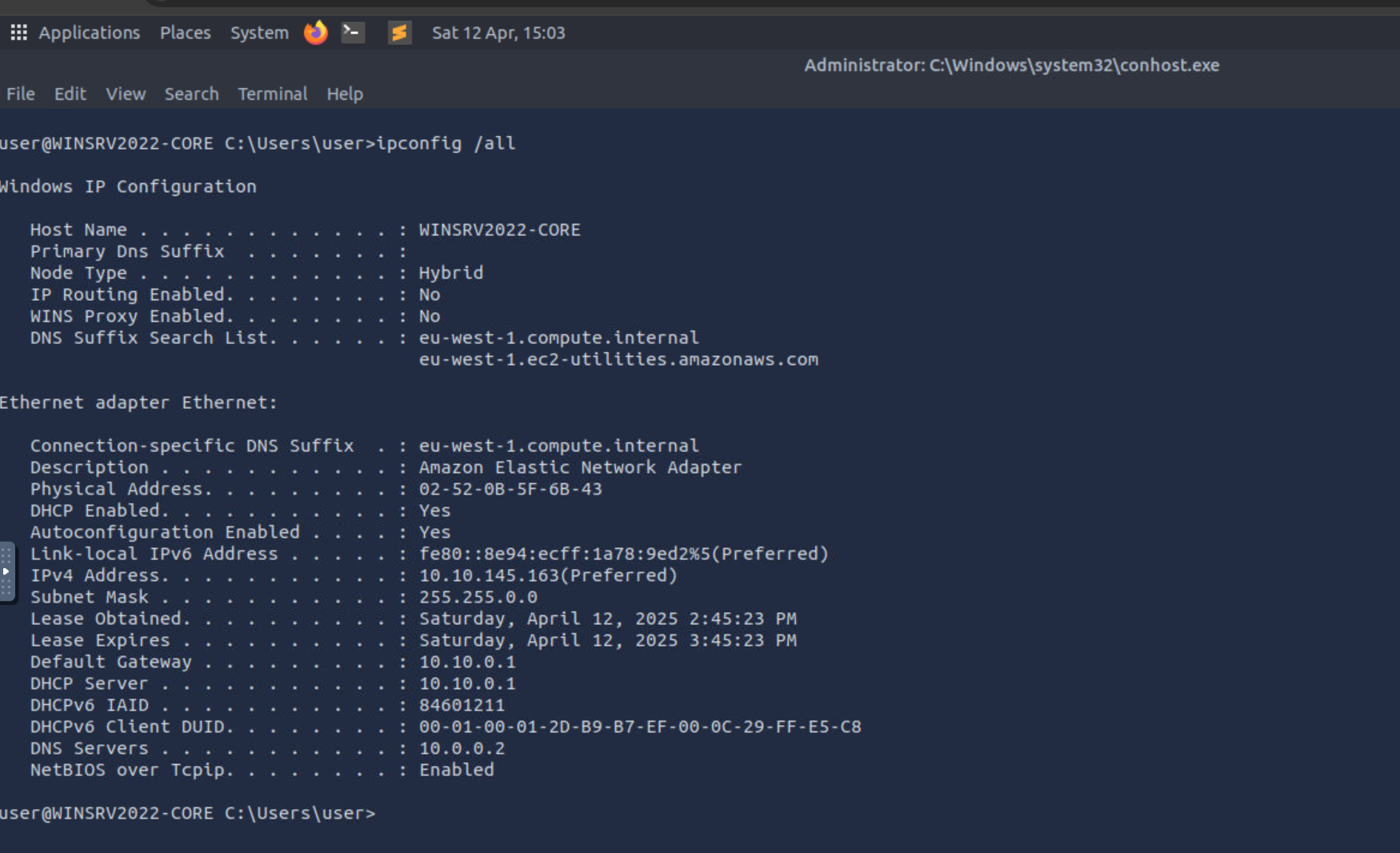 image-20250412220333211