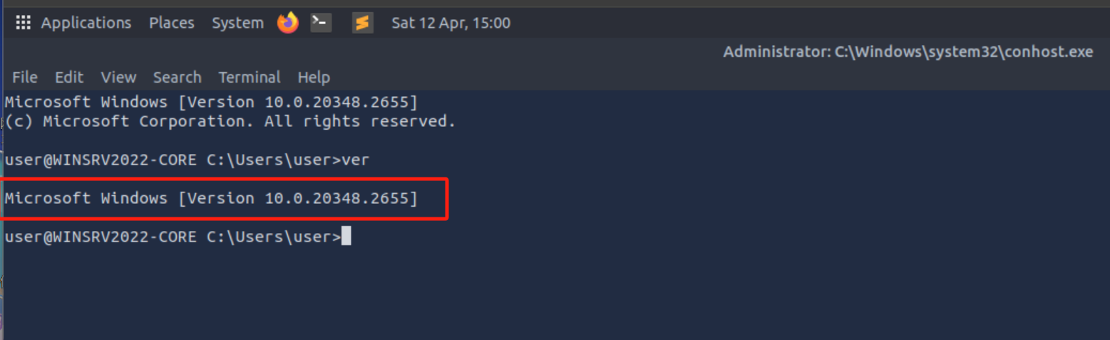 image-20250412220025397