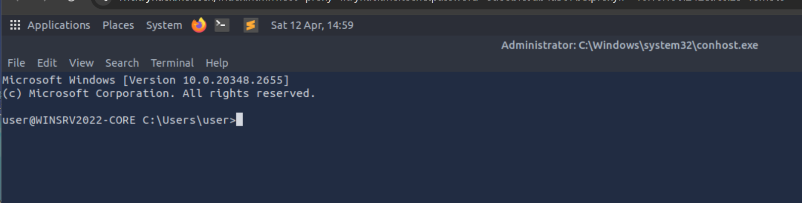 image-20250412215946459