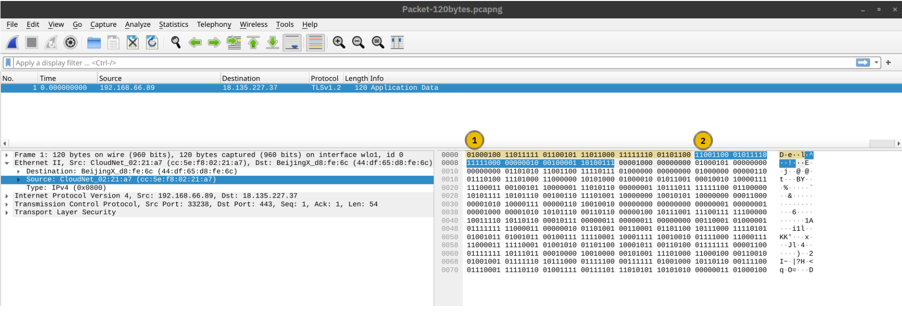 image-20250108184228235