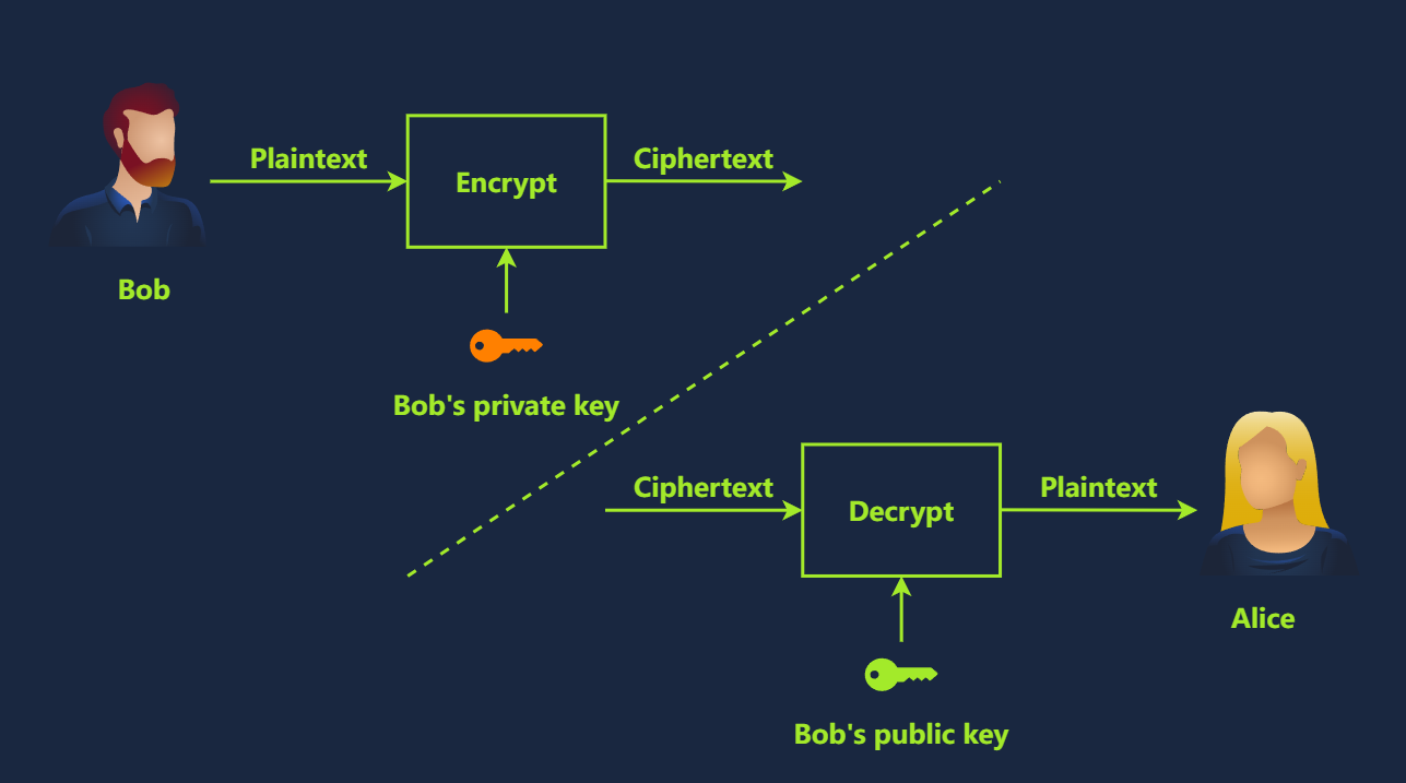 image-20250109211212075