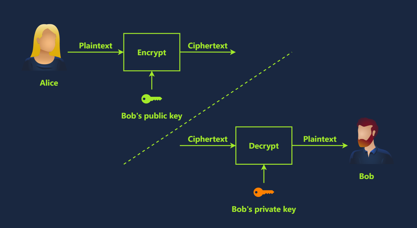 image-20250109205459920