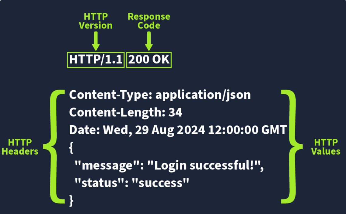 image-20250110222956250