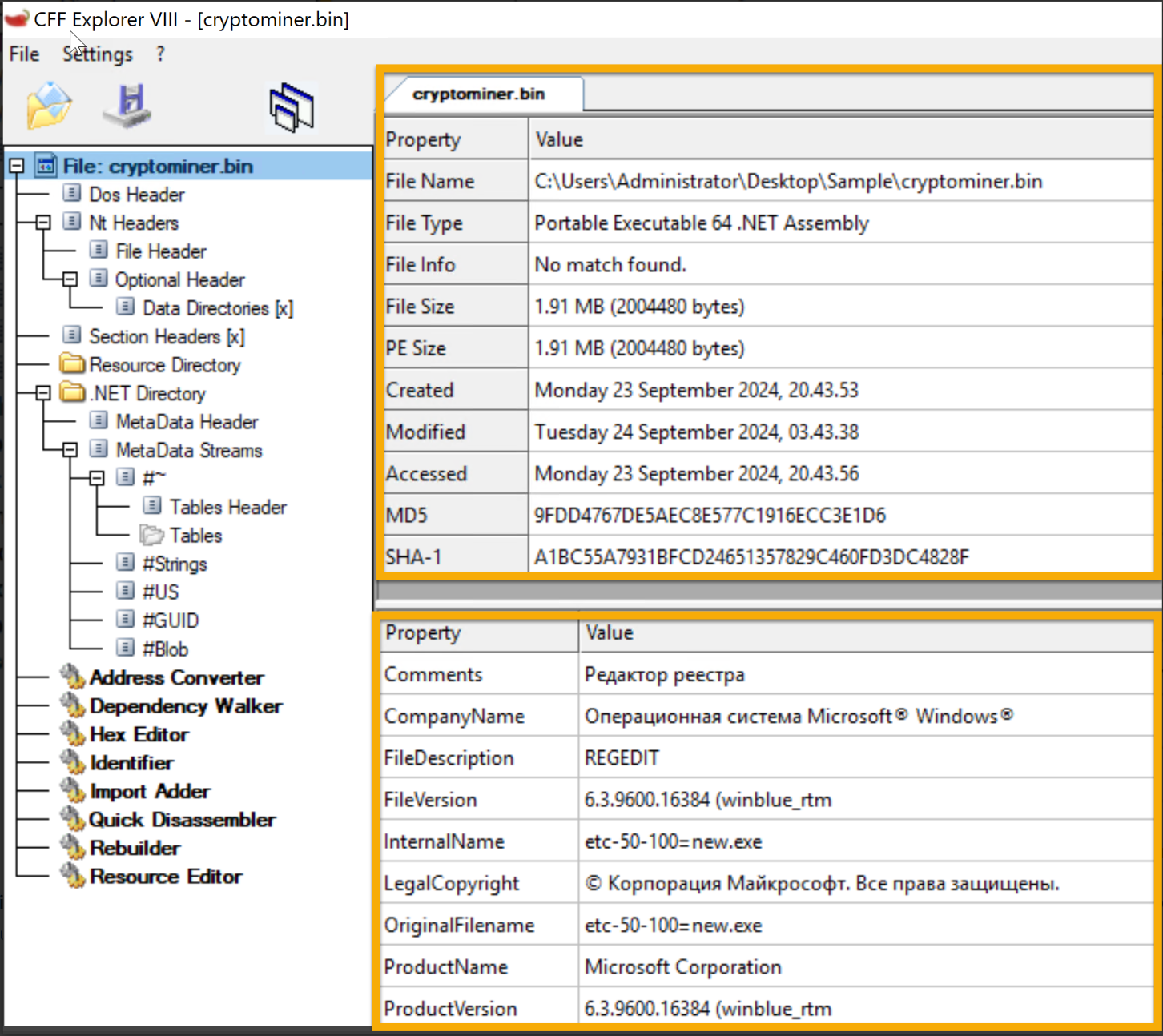 image-20250112195131820