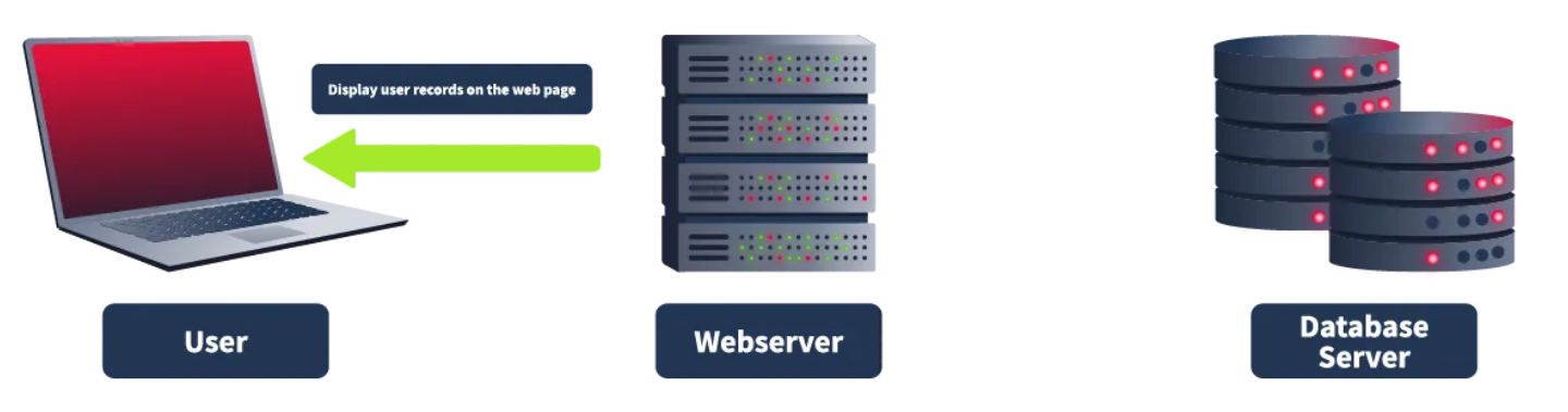 image-20250111172607901