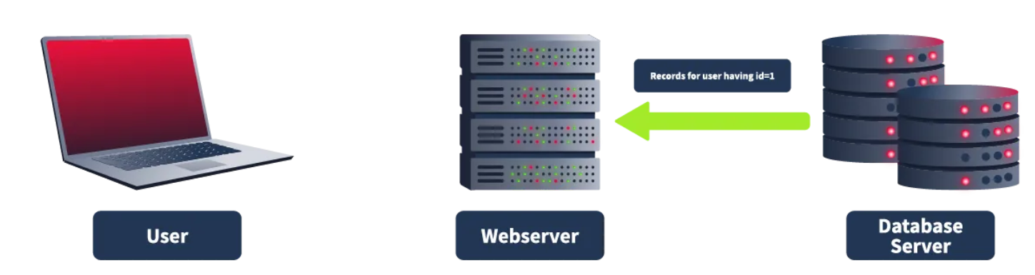 image-20250111172546041