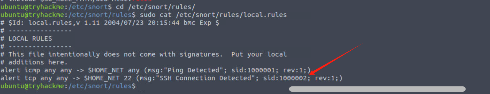 image-20250531015653459