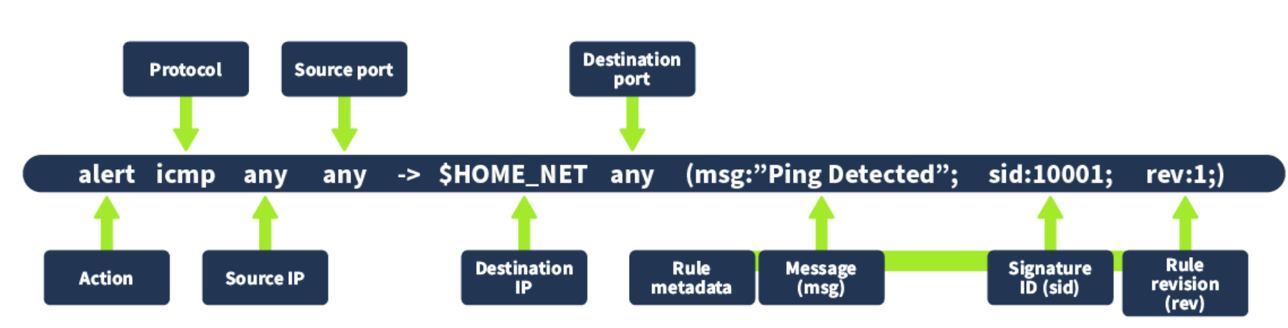 image-20250111231115452