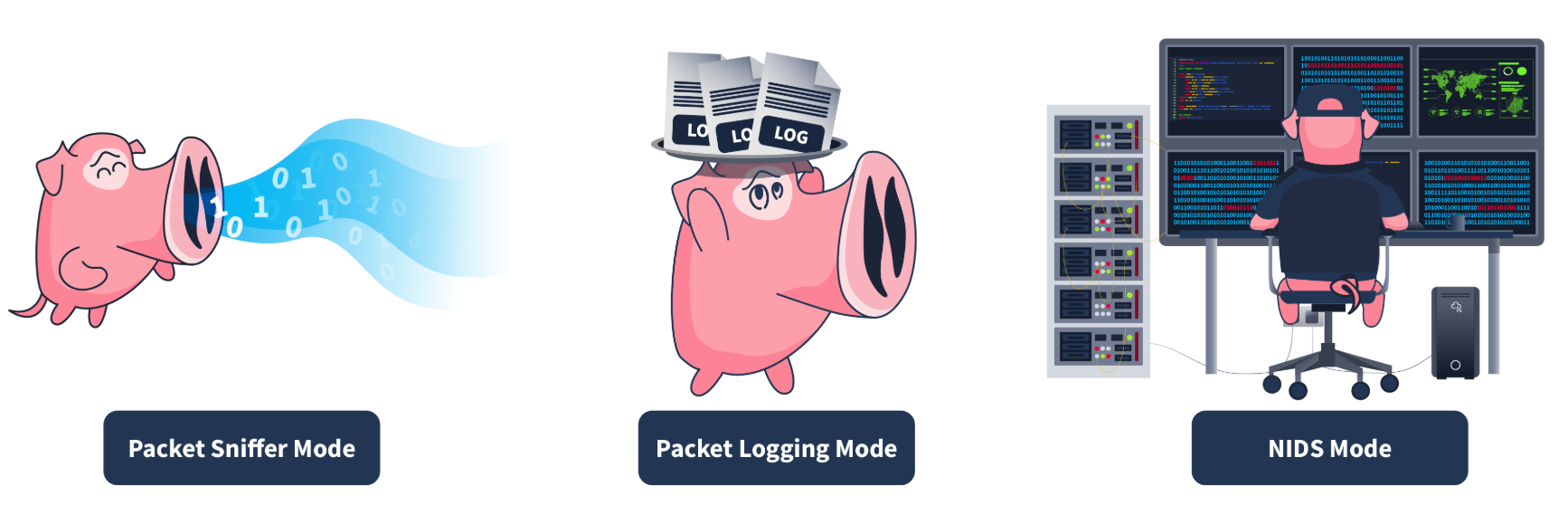 image-20250111230739261