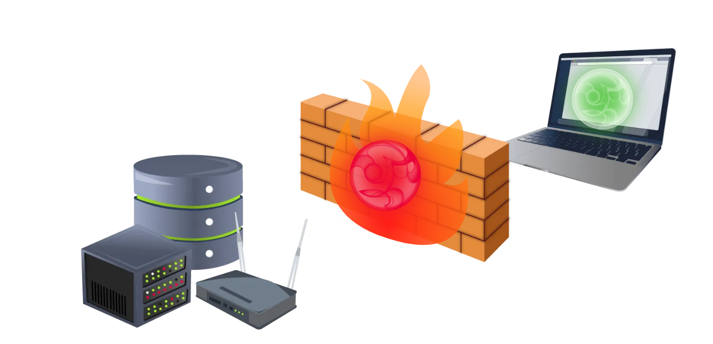 image-20250111230302624