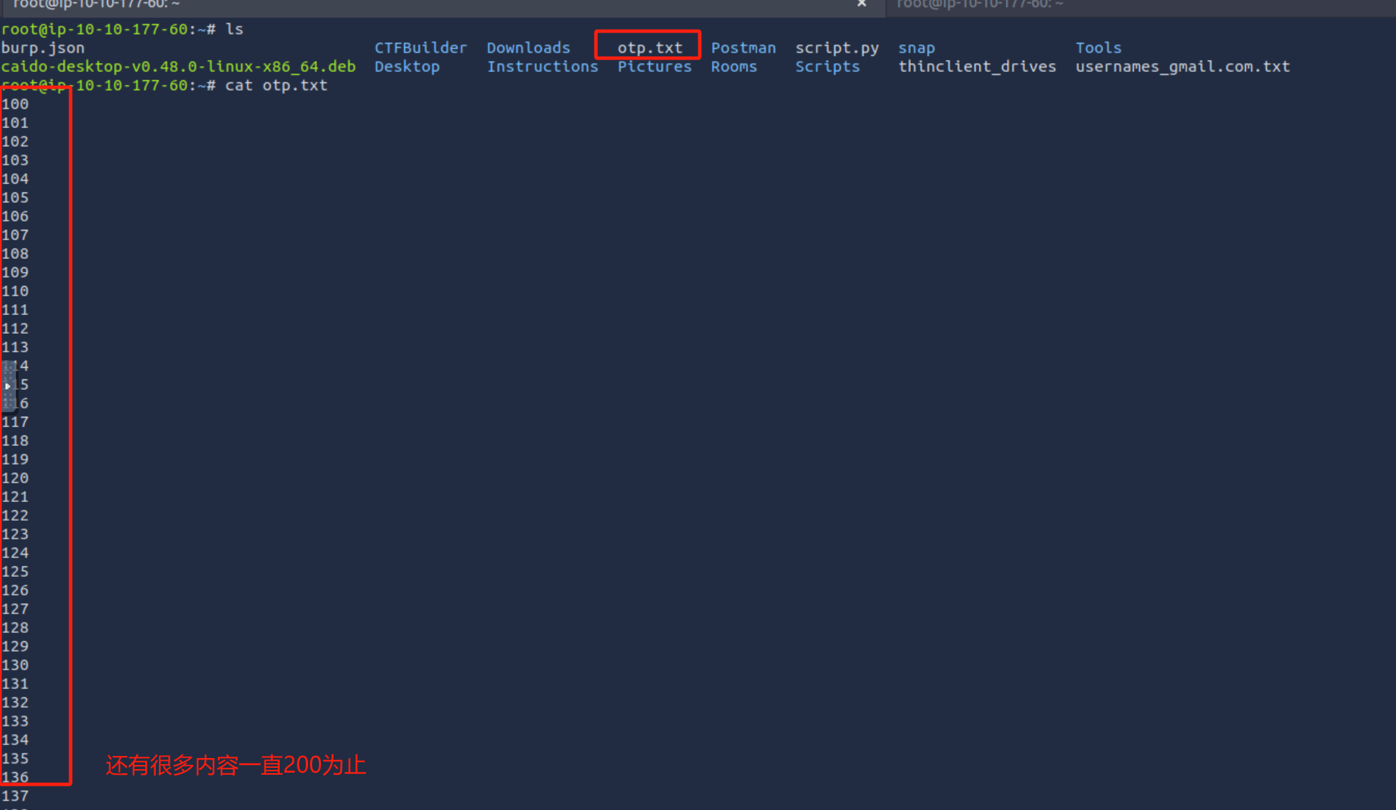 image-20250531234626347