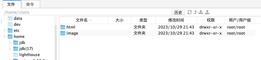 image-20231029215831333