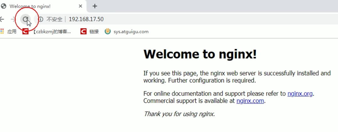 image-20231029224732729