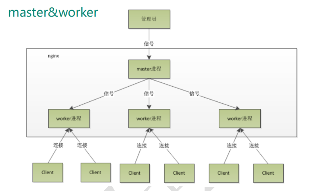 image-20231029225333045