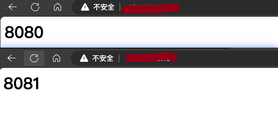 image-20231029212002026