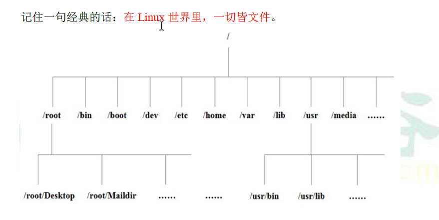 Linux常用操作命令总结