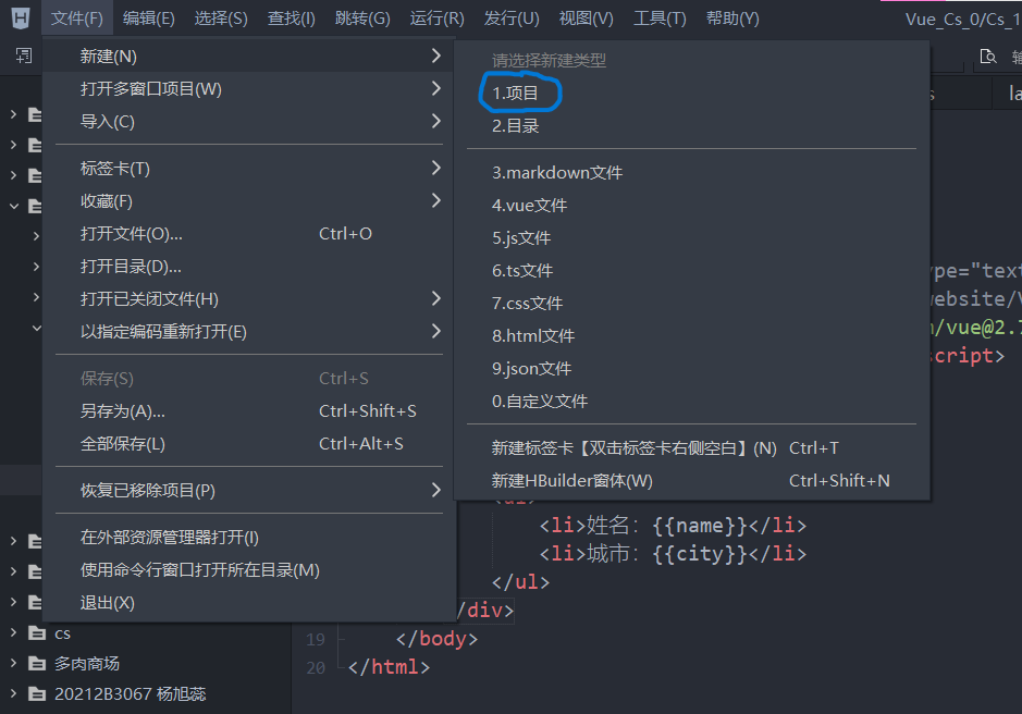 超详细！新手如何创建一个Vue项目