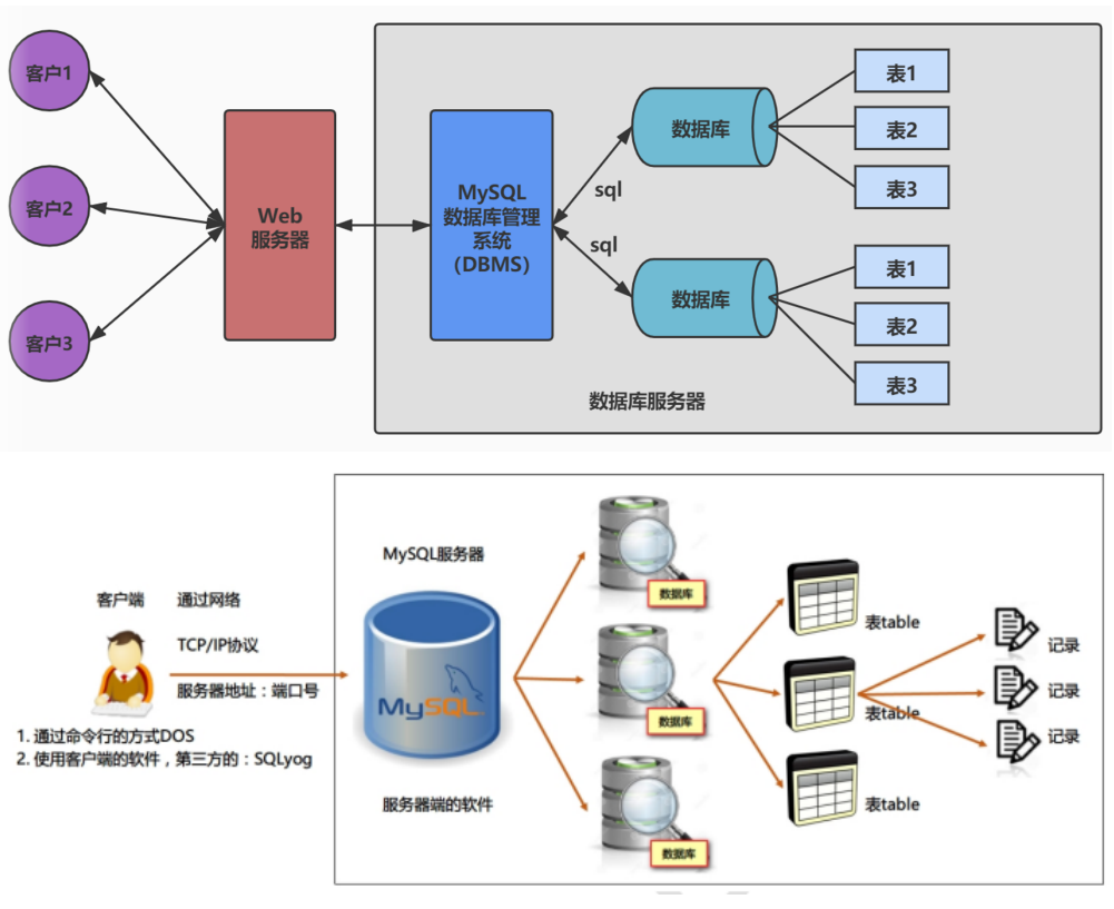 数据库管理系统、数据库和表的关系