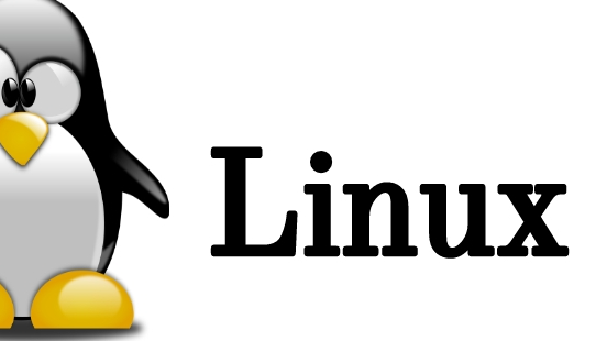 Ƚ Linux ں˼ͨڴ  kmalloc ϵ