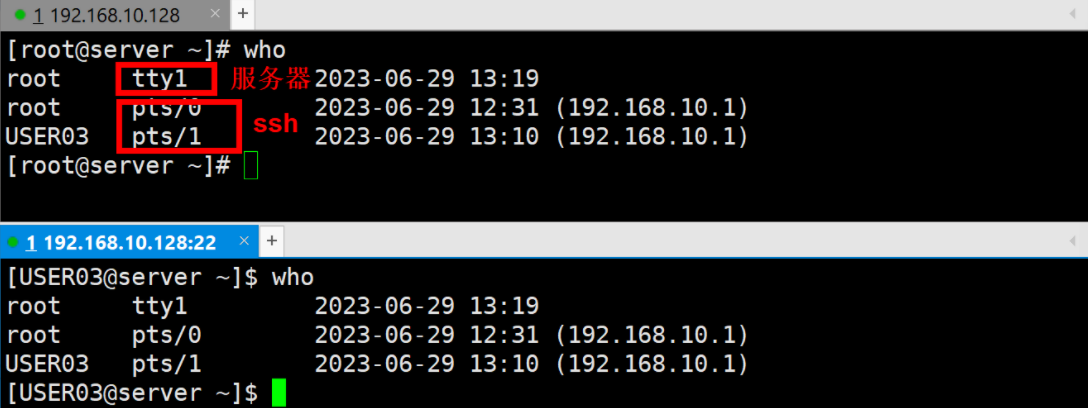 image-20230701232256457