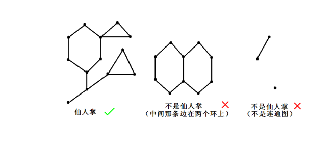 圆方树基础知识梳理