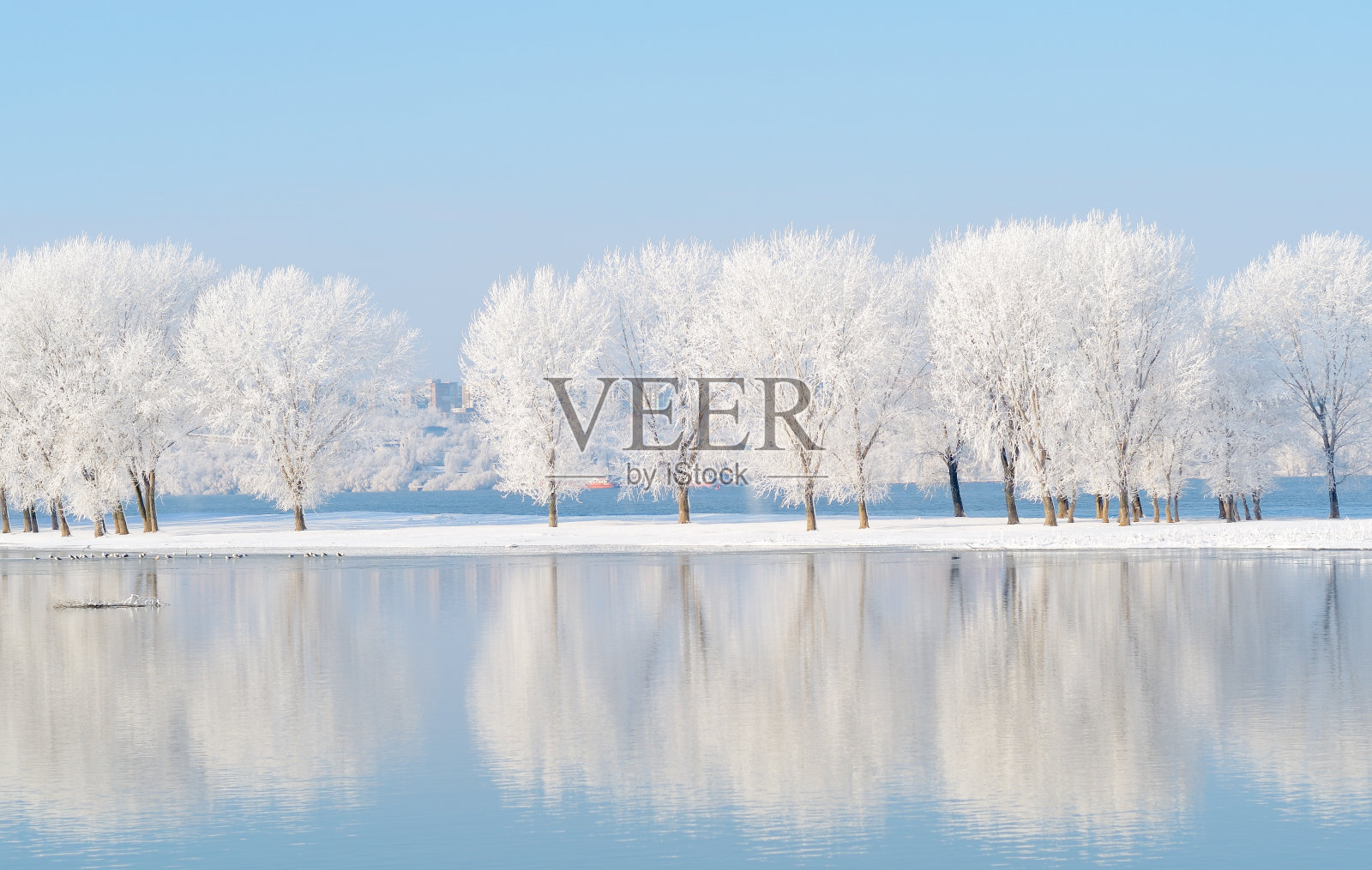 快速莫比乌斯/沃尔什变换 (FMT/FWT)