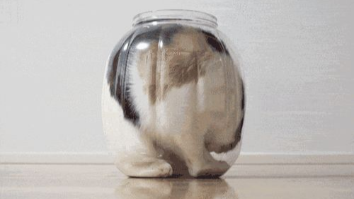 文献综述怎么写？