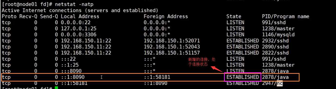 image-20200701210428515