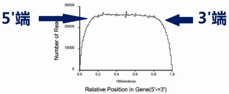 RNA-seq测序方法及数据分析 - 小高不高 - 博客园