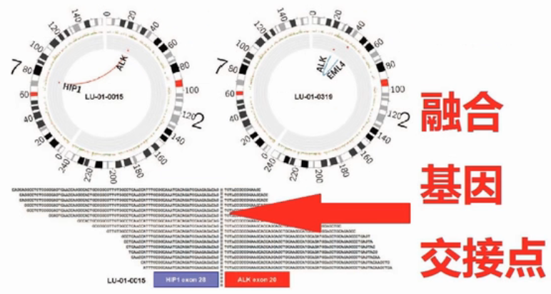 RNA-seq测序方法及数据分析 - 小高不高 - 博客园