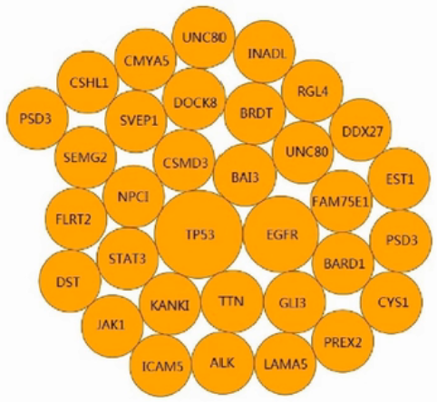 RNA-seq测序方法及数据分析 - 小高不高 - 博客园