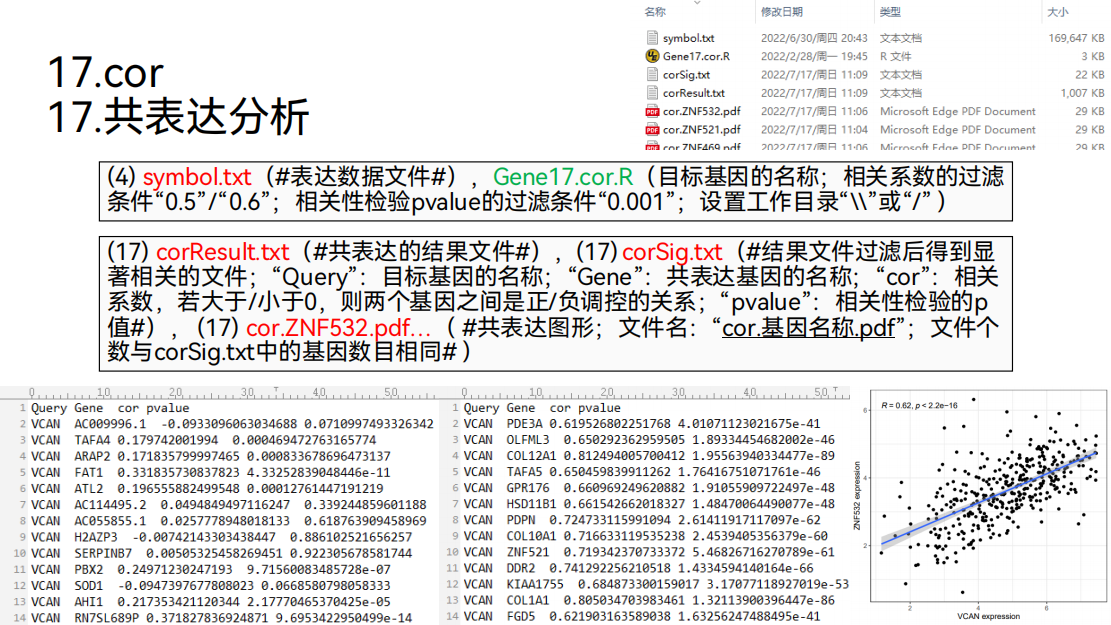 01. 单基因文章套路简介- 小高不高- 博客园