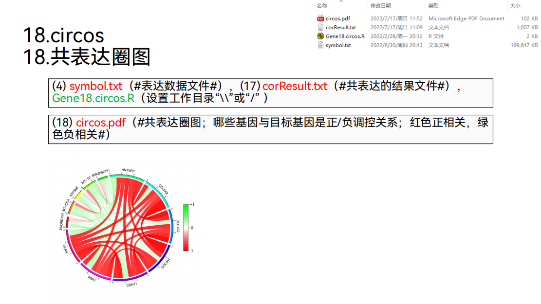 01. 单基因文章套路简介- 小高不高- 博客园