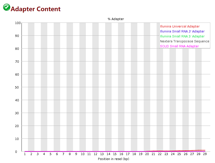 Adapter Content