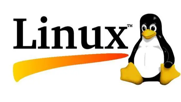 Linux基础操作