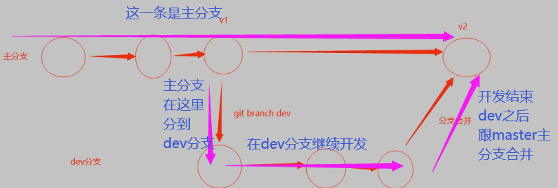 Git多分支 远程仓库 协同开发以及解决冲突-小白菜博客