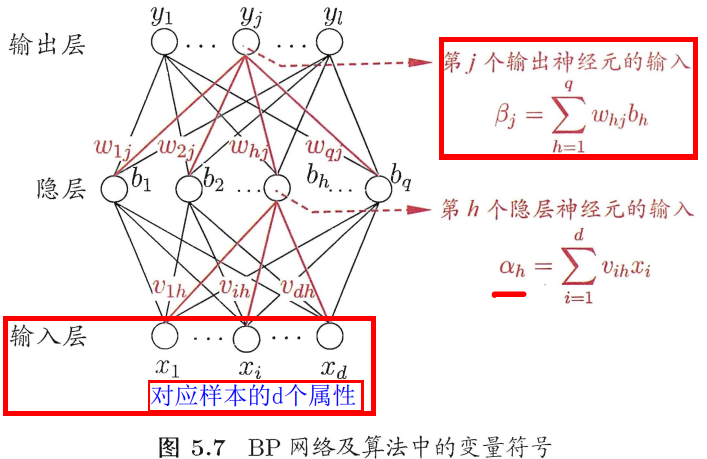 BP网络