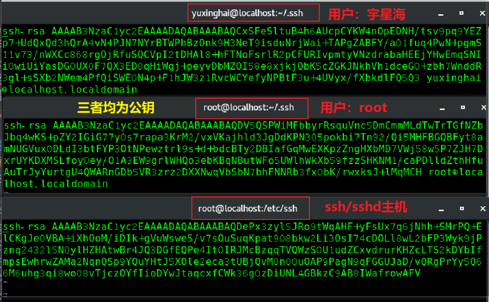 手动生成的不同当前主机登录用户的公钥及ssh/sshd主机自动生成的公钥
