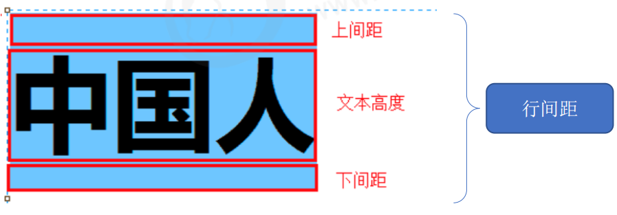 CSS-小白菜博客